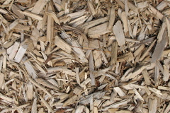 biomass boilers Llangrove